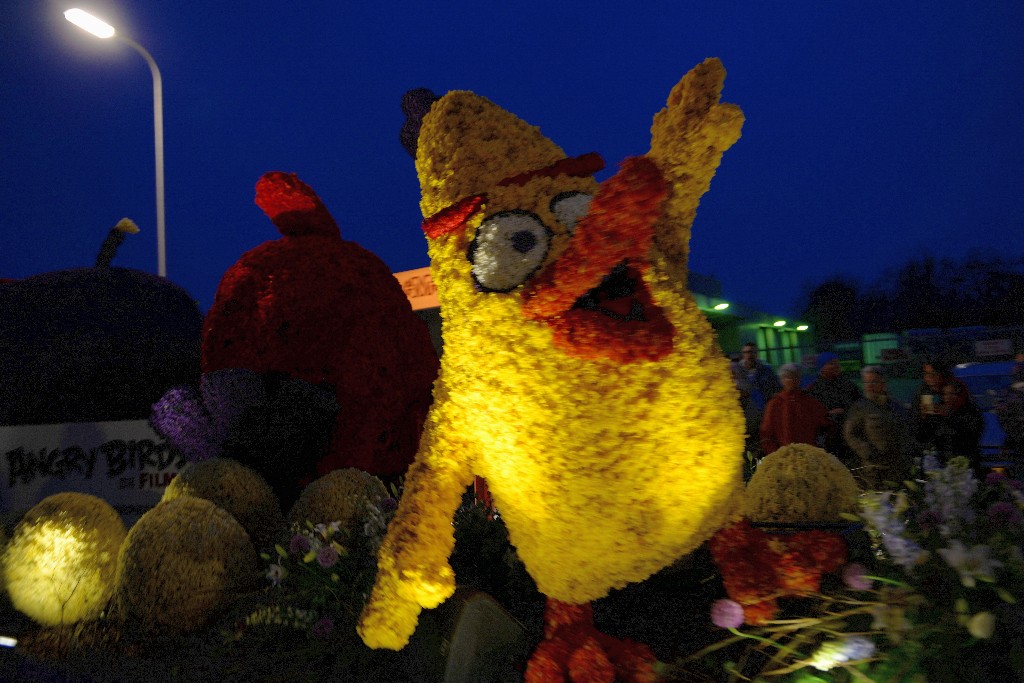 ../Images/Bloemencorso Noordwijkerhout 203.jpg